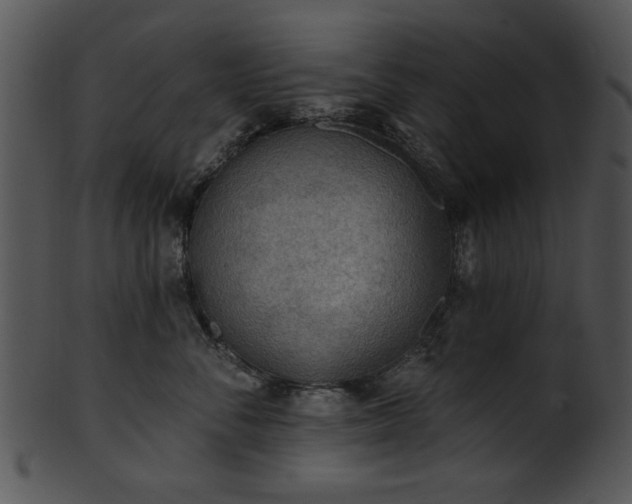 X0000101450716200807141244