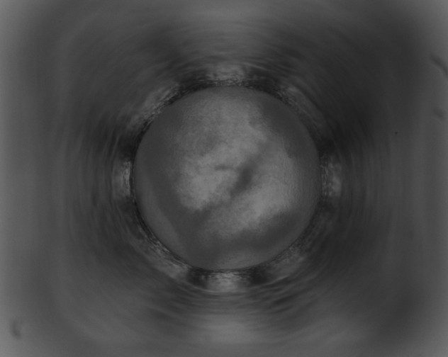 X0000101450717200807141244