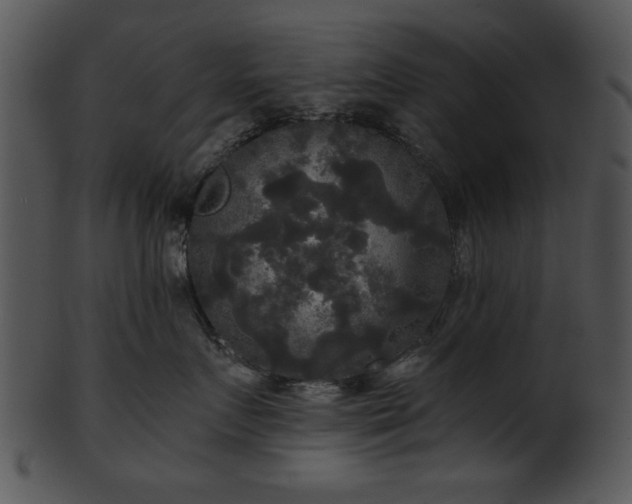 X0000101450719200807141244