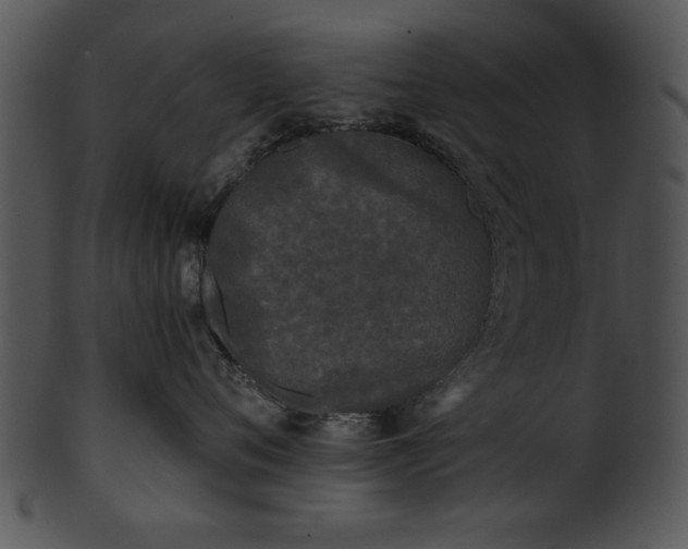 X0000101450720200807141244