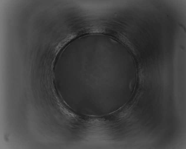 X0000101450721200807141243