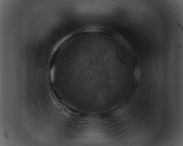 X0000101450724200807141243