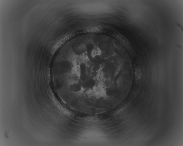 X0000101450725200807141243