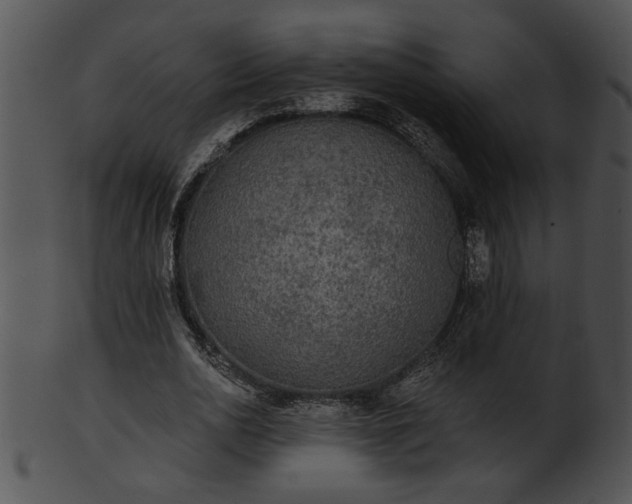 X0000101450726200807141243