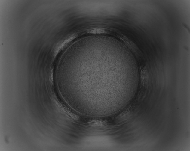 X0000101450727200807141243