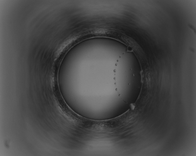 X0000101450728200807141243