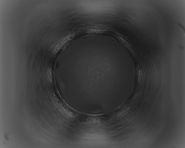 X0000101450729200807141243