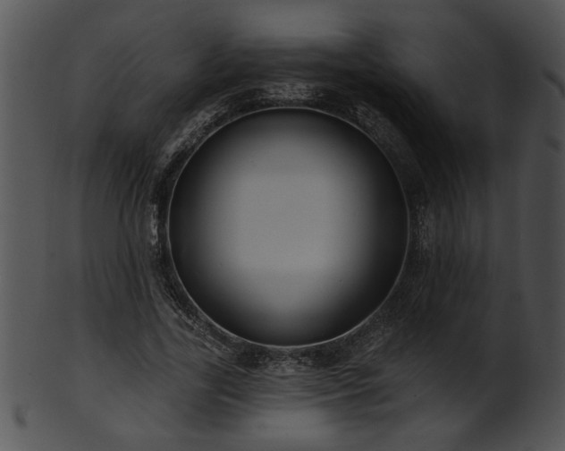 X0000101450731200807141243