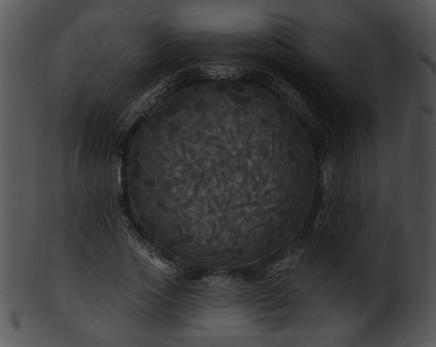 X0000101450733200807141243