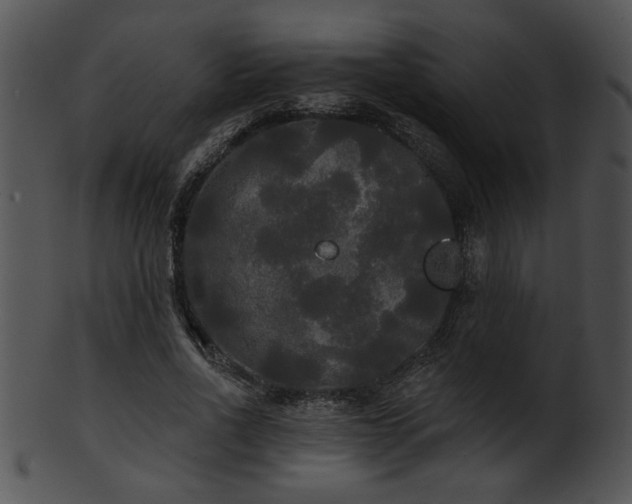 X0000101450734200807141243