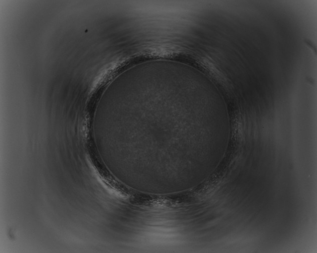 X0000101450736200807141243