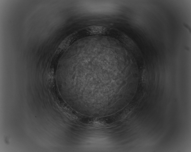 X0000101450737200807141243