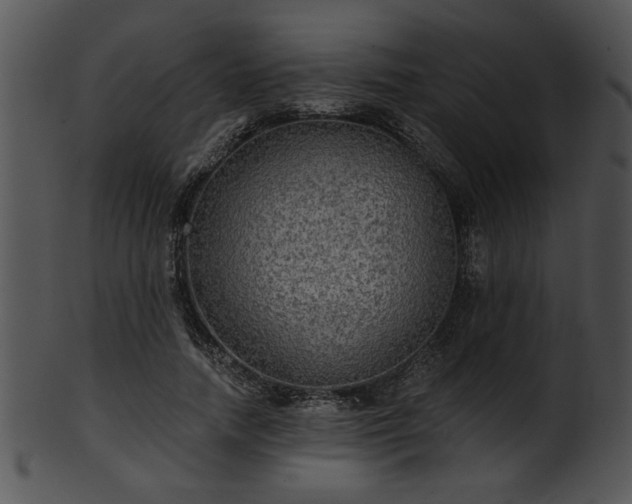 X0000101450738200807141243