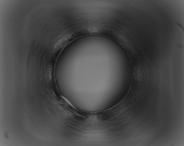 X0000101450740200807141243