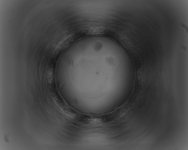 X0000101450741200807141243