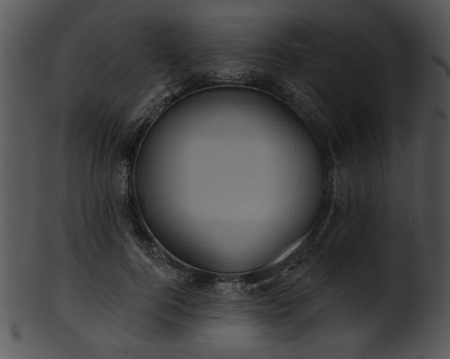 X0000101450744200807141243