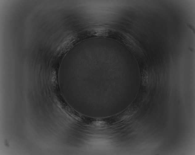 X0000101450748200807141243