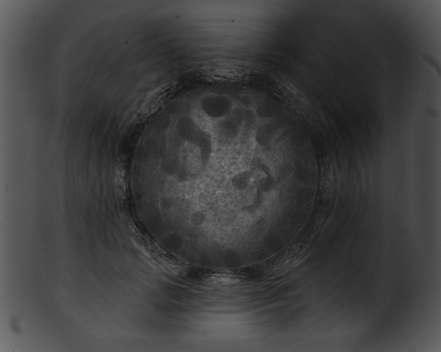 X0000101450749200807141243