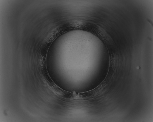 X0000101450750200807141243