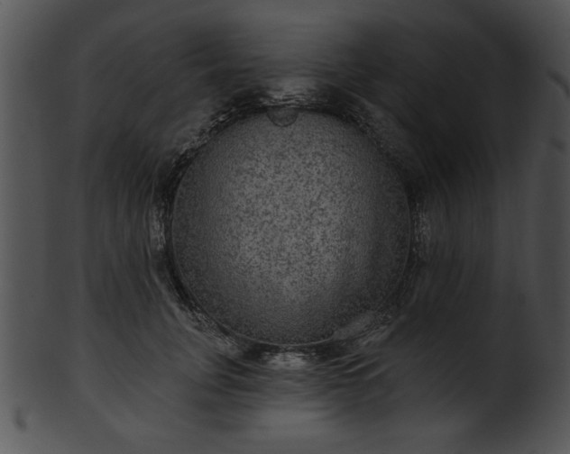 X0000101450751200807141244