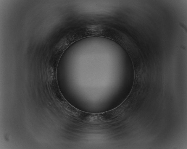 X0000101450752200807141244