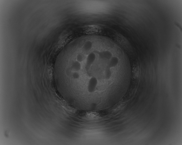 X0000101450753200807141244