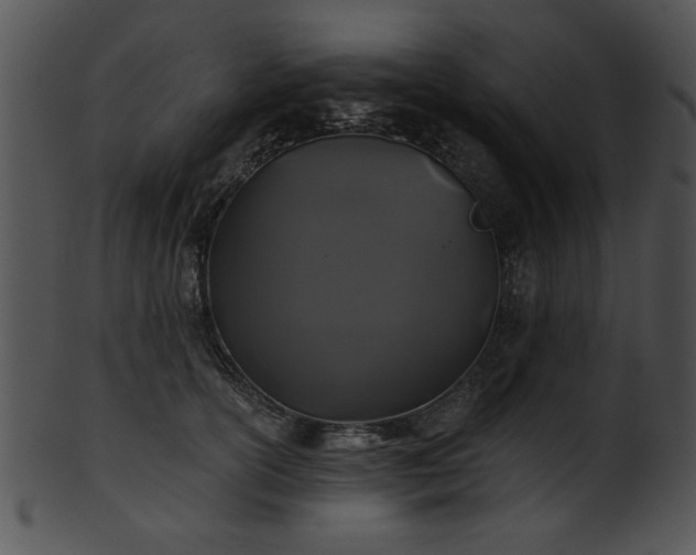 X0000101450754200807141244