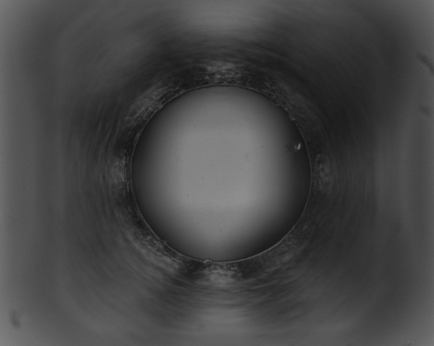 X0000101450756200807141244