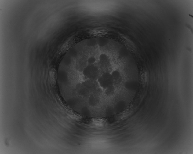 X0000101450757200807141244