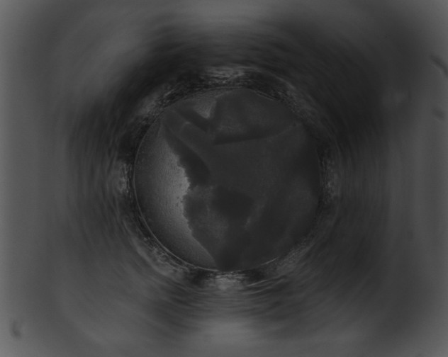 X0000101450758200807141244