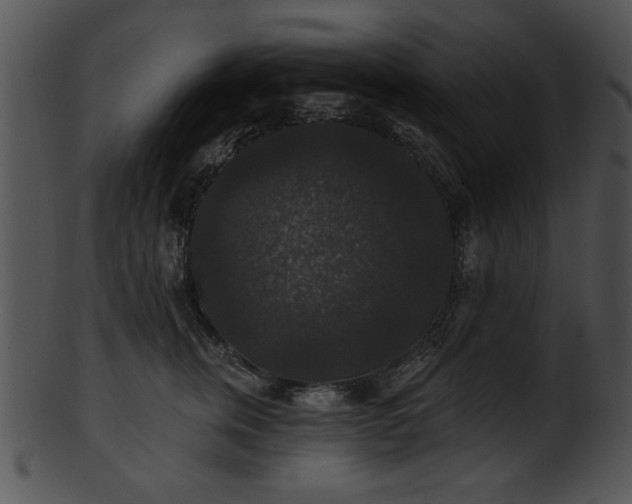 X0000101450759200807141244