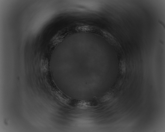 X0000101450760200807141244