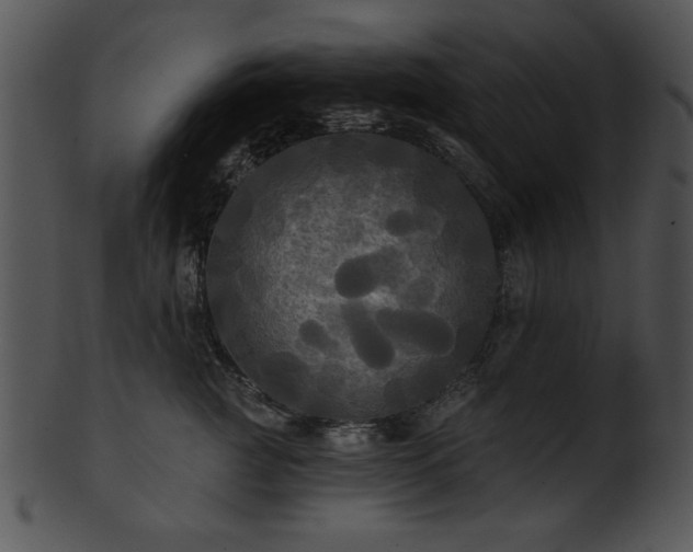 X0000101450761200807141244