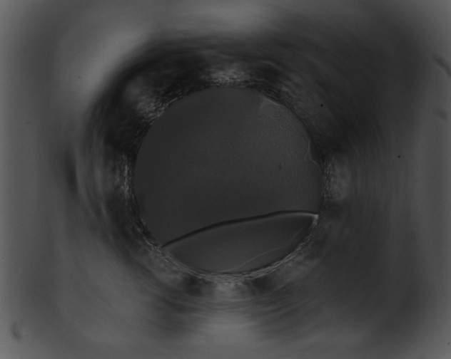 X0000101450762200807141244