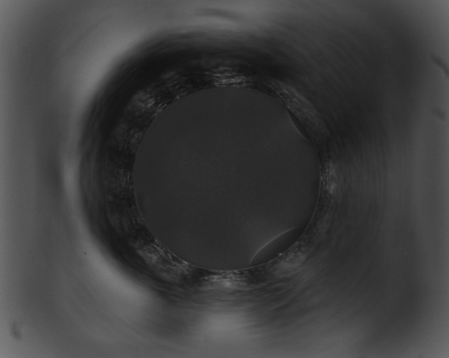 X0000101450763200807141244