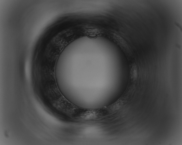 X0000101450764200807141244