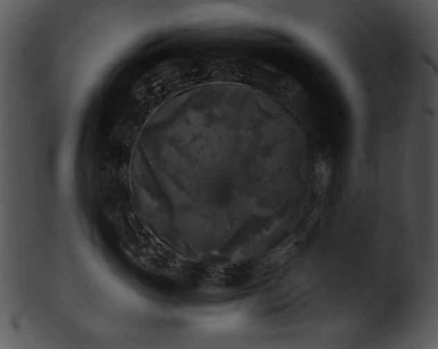 X0000101450765200807141244