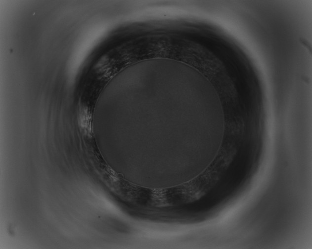 X0000101450766200807141244