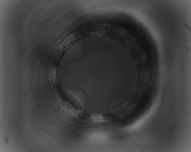 X0000101450767200807141244