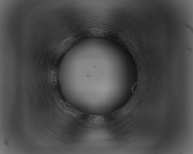 X0000101450768200807141244