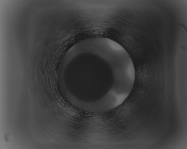 X0000101450769200807141243