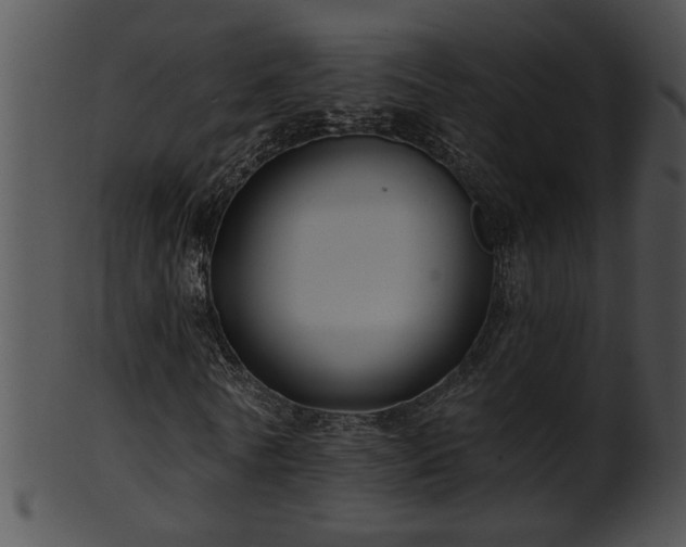 X0000101450770200807141243