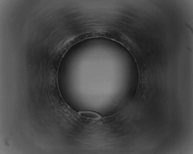 X0000101450773200807141243