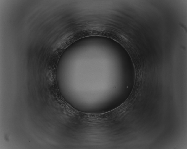 X0000101450774200807141243