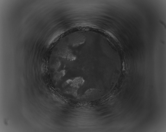 X0000101450775200807141243