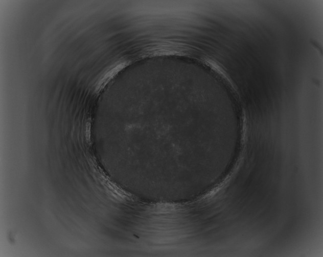 X0000101450777200807141243