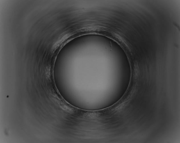 X0000101450778200807141243