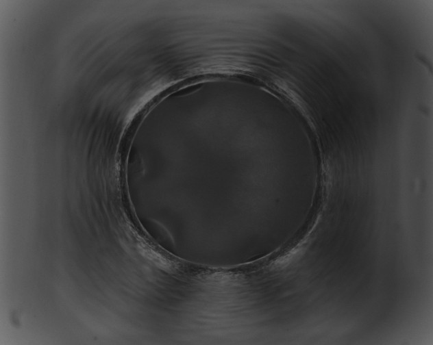 X0000101450779200807141243