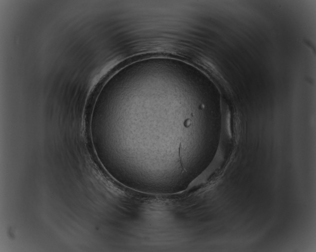 X0000101450780200807141243