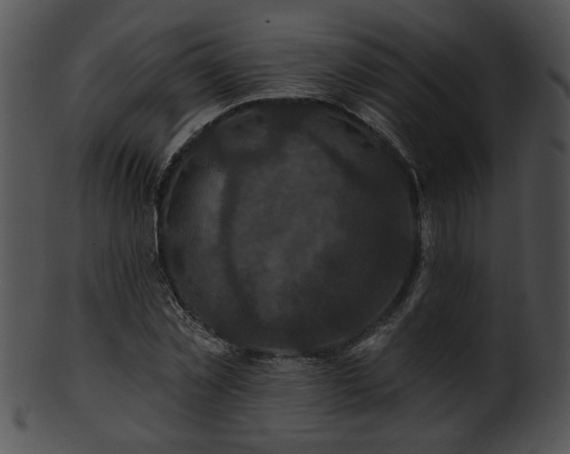 X0000101450781200807141243